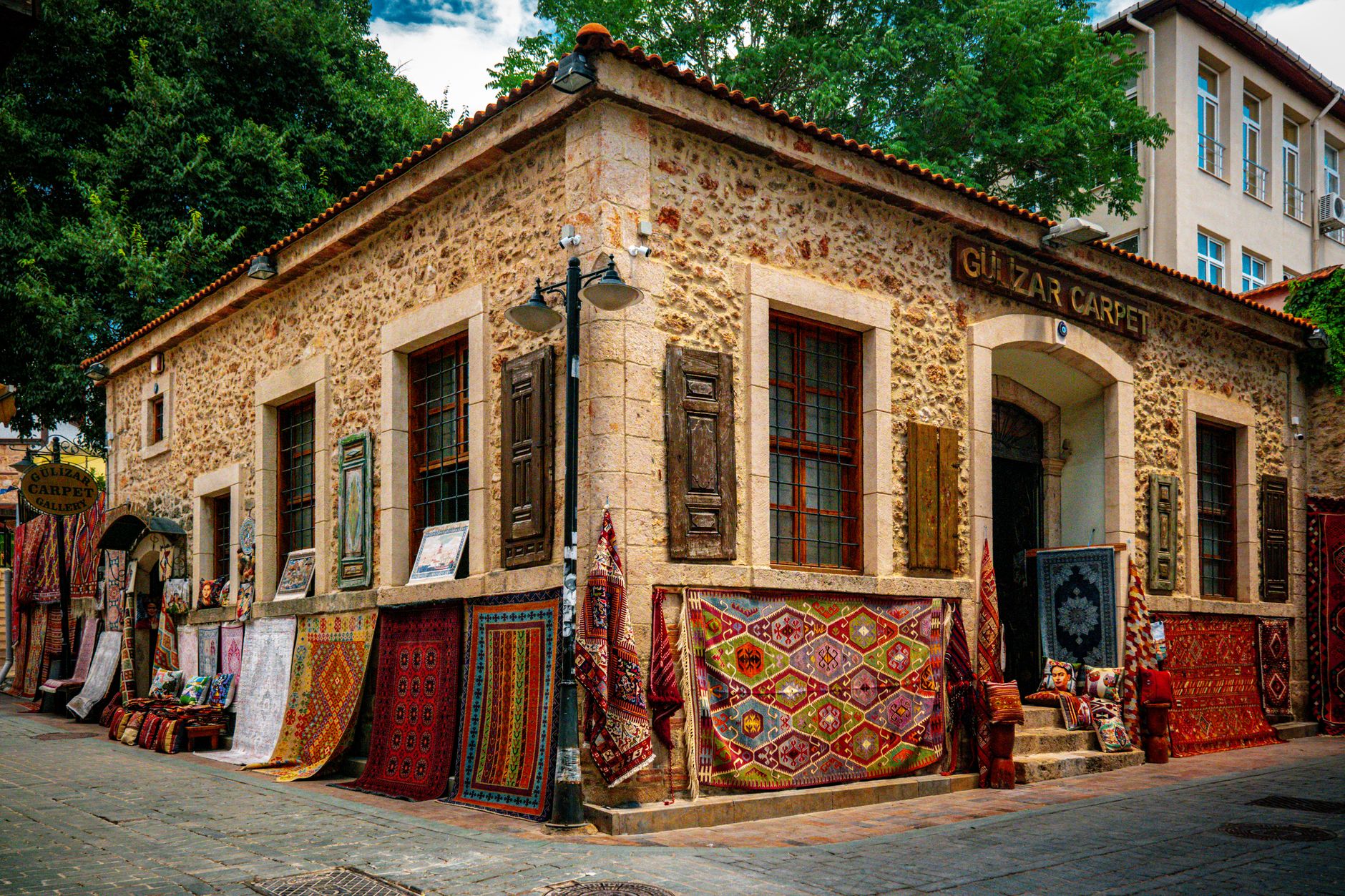 Başarı Botanik Yerel İşletme fotoğrafı 3