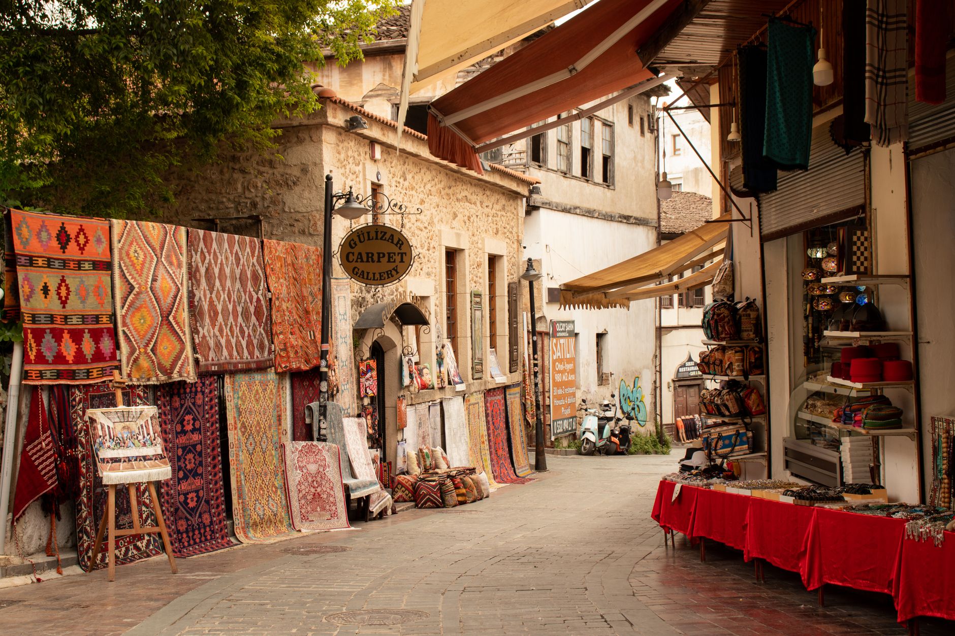 Başarı Botanik Yerel İşletme fotoğrafı 4